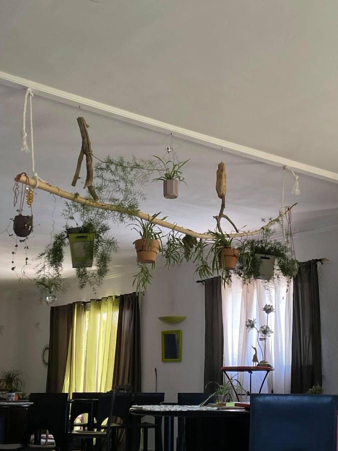 Arcantis Hotel La Gentillhommiere Trèbes Εξωτερικό φωτογραφία